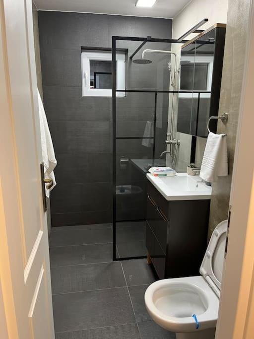 Apartament Suceava Luaran gambar
